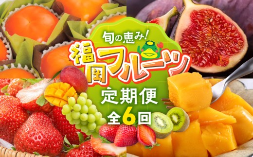 【定期便 6回】旬の恵み！福岡フルーツ定期便 _ 定期便 6回 フルーツ 完熟 マンゴー シャインマスカット 黒イチジク ビオレソリエス キウイ 甘うぃ 柿 福岡県GAP 秋王 あまおう いちご グルメ 旬 お取り寄せ 福岡県 久留米市 送料無料 _Tk127