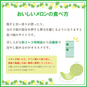 【2026年 先行予約】 貴味 メロン 約 3kg以上 青肉 ( 4L × 2玉 ) 【 メロン 】