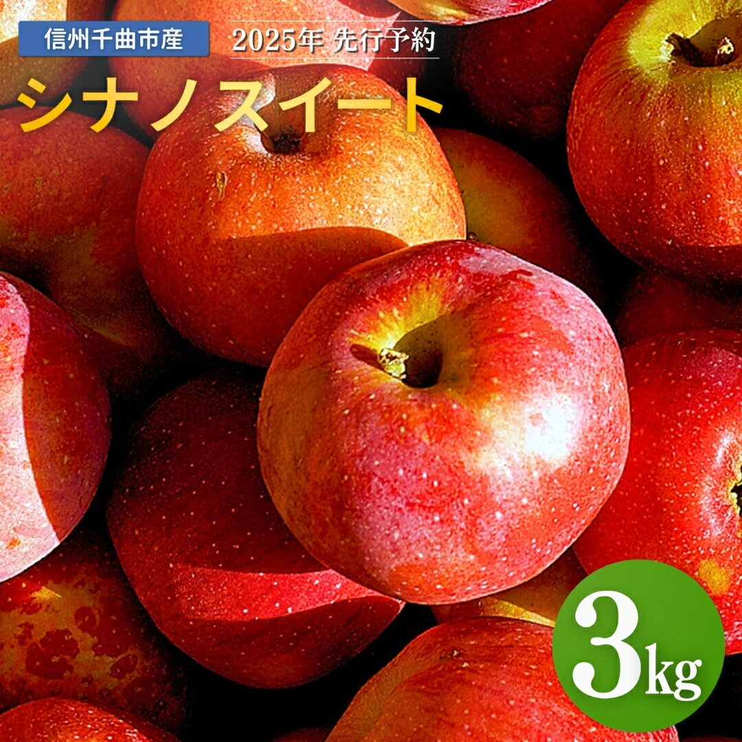 【ふるさと納税】【2025年先行予約】りんご シナノスイート 6~11玉 約3kg ｜ リンゴ 林檎 フルーツ 果物 信州りんご 長野県産 千曲市 信州