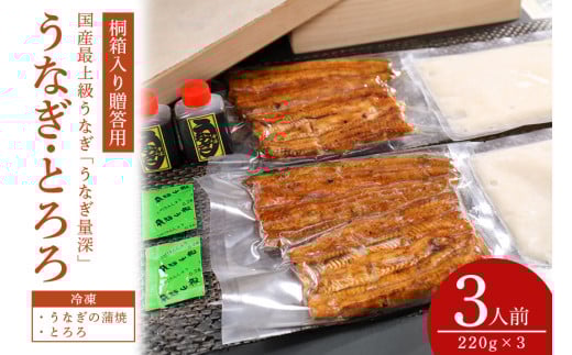 【TVで紹介されました】 贈答用 うなとろ 3人前セット 桐箱入り 土用の丑の日 ウナギ うなとろ おすすめ 蒲焼き 蒲焼 国産 解凍 冷凍 土用 丑の日 お歳暮 お中元 笠間市 茨城県 とろろ 老舗