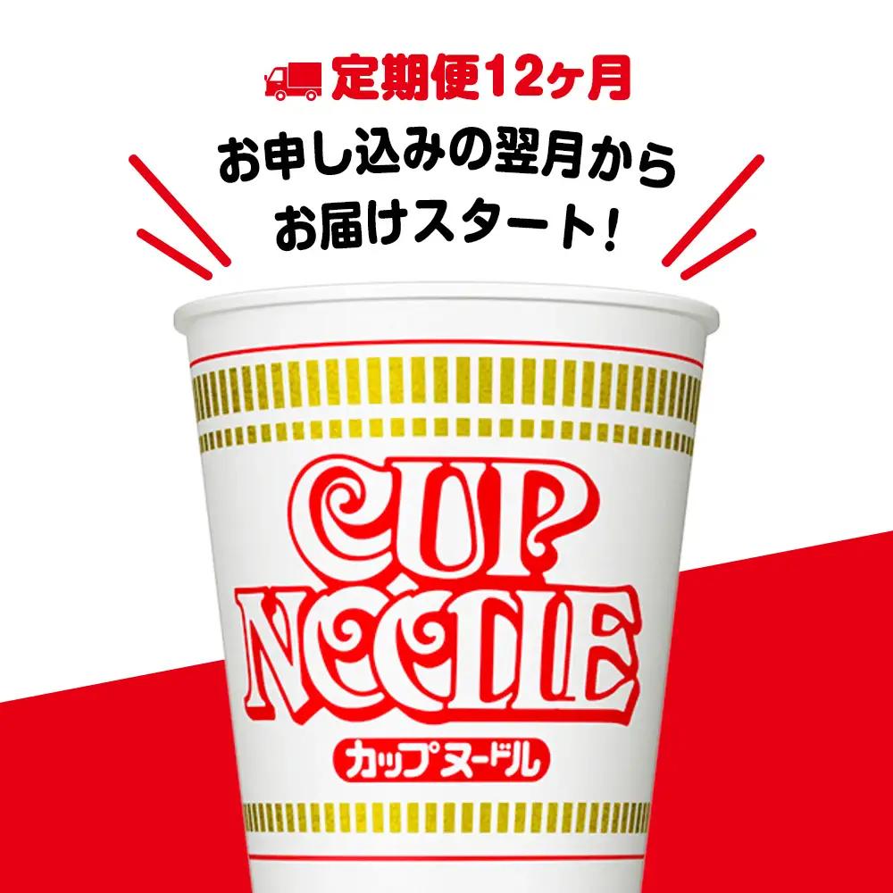 【定期便12か月】日清 カップヌードル10食