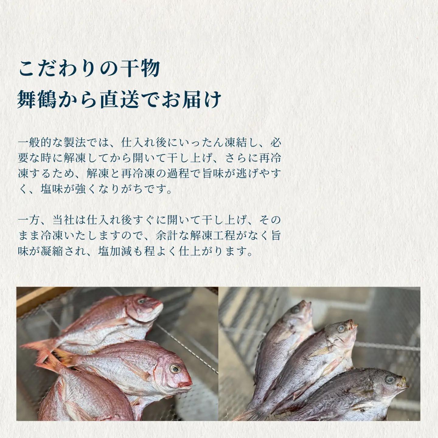 訳あり 干物 約1kg （3種類） 舞鶴産 お試し 干物 セット 