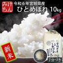 【ふるさと納税】【新米】令和6年産　宮城県産ひとめぼれ10kg 　7分づき【1552902】