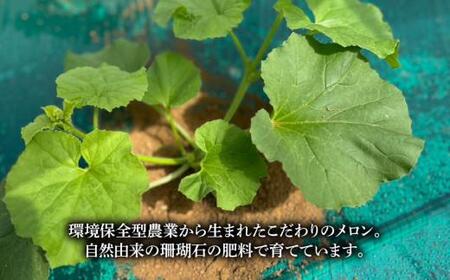 【先行予約】 大玉 ラブコールメロン 3玉  数量限定 メロン メロン メロン メロン メロン はぎわらファーム