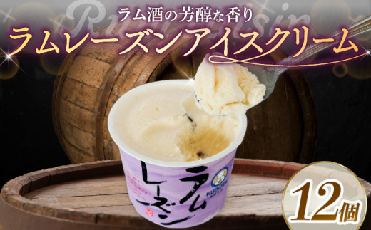 ラムレーズン アイスクリーム 110ml✕12個 | アイス ラム 酒 レーズン カップアイス 人気 大容量 有名 セット 詰め合わせ スイーツ ジェラート ギフト おすすめ 久保田食品 高知県 南国市
