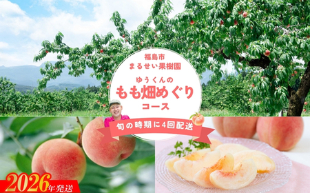 No.2365まるせい果樹園 【定期便4回】ゆうくんのもも畑めぐりコース【2026年発送】