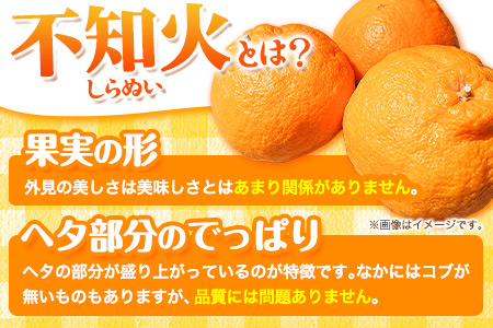 不知火 約 4.5kg～ 5kg みかん《2027年2月下旬-4月下旬頃出荷》熊本県産(荒尾市産含む) 柑橘 フルーツ フレッシュフーズ 不知火 果物 デコポン と同品種 送料無料 果物 シラヌヒ シ