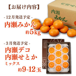 定期便 先行予約 柑橘 全2回 内瀬みかん 内瀬デコ・せとかミックス / 柑橘定期便 柑橘定期便 柑橘定期便 柑橘定期便 柑橘定期便