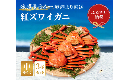 【蟹セレブ】ズワイガニ（紅ズワイガニ）中3杯セット（400から500g×3） 冷蔵 カニ ボイル 紅ズワイガニ 新鮮 ズワイガニ ずわいがに 期間限定 国産 鳥取県 倉吉市