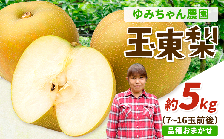 『ゆみちゃん農園』の玉東梨 約5kg 7玉-16玉前後 《2026年8月下旬-10月上旬頃出荷》熊本県玉名郡玉東町 梨 なし 果物 フルーツ 旬の梨