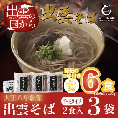 ふるさと納税 出雲市 創業百年老舗の味　児玉製麺「出雲半生そば(6人前)つゆ付き」