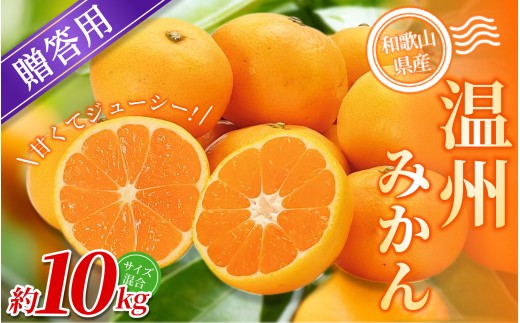 【贈答用】 森本農園の手選別 みかん 約10kg 和歌山県産 2S~2Lサイズ混合 【北海道・沖縄・離島配送不可】【2026年10月中旬～2027年2月中旬ごろに順次発送】【BV-mrmt093】