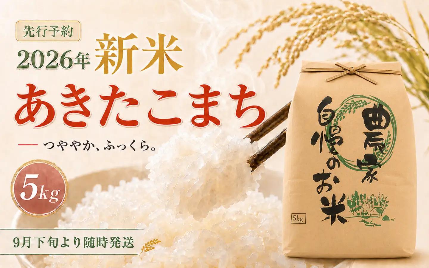 限定100件【新米・先行予約】あきたこまち5kg 信濃町産 令和8年 精米 2026年9月下旬発送予定 黒姫山麓 霧下 米 長野県信濃町