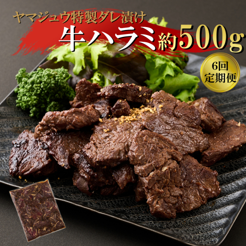 ヤマジュウの特製タレ漬け！牛ハラミ肉５００ｇ【６回定期便】 頒布会