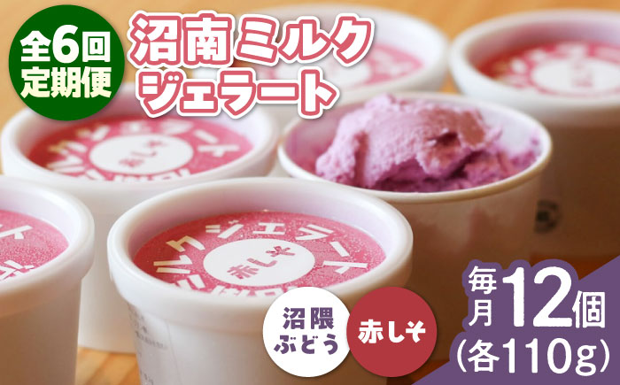 【全6回定期便】沼南ミルクジェラート 沼隈ぶどう＆赤しそ　各6個　食べ比べセット　アイス  ぶどう 赤しそ アイス アイスクリーム デザート スイーツ ご当地 広島県福山市/甚ごろう [BAEC051