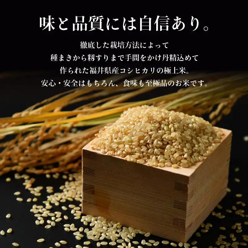 【先行予約】【令和8年産 新米】定期便《6ヶ月連続お届け》コシヒカリ 玄米 5kg × 6回（計30kg）特別栽培米 農薬不使用 化学肥料不使用 ／ 残留農薬ゼロ 高品質 鮮度抜群 福井県産 ブランド