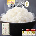 【ふるさと納税】令和6年産 はえぬき 5kg 10kg 20kg 山形県産 2024年産 【 精米 白米 東北 山形産 国産 5キロ 10キロ 20キロ 2袋 4袋 食品 お取り寄せ 小分け ご飯 発送時期 配送時期 発送月 配送月 選べる ランキング 入賞歴 銘柄米 ロングセラー ブランド米 寒河江市 】