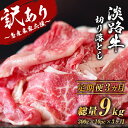 【ふるさと納税】【訳あり】【定期便3ヶ月】淡路牛 切り落とし 3kg (300g×10パック）