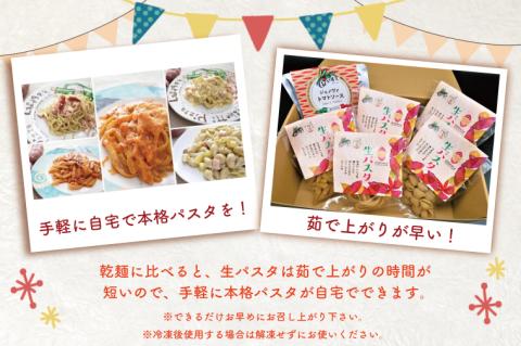 CJ-16 生パスタ （タリアテッレ10食分）