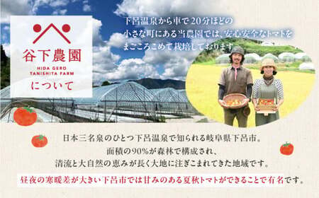 【2026年7月上旬頃から順次発送】【期間限定】地元下呂市の人気者！大地の恵みがぎゅーっと詰まった果肉が厚い 大玉トマト 約 4kg（サイズ混合）≪谷下農園 有機JAS認証農園の完熟トマト使用≫《飛騨