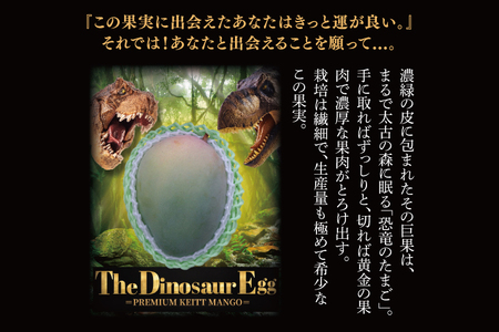 【2026年8月より順次発送】【THE Dinosaur Egg】プレミアムキーツマンゴー 1玉(約750g以上)｜マンゴー キーツマンゴー フルーツ 果物 くだもの 先行予約 贈り物 プレゼント お