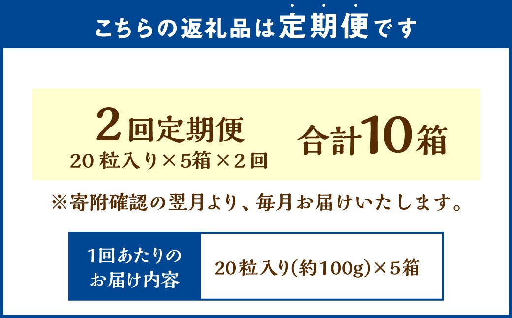 【2回定期便】 《冷凍》 北海道生チョコレート （ブラック） 5箱×2回 合計10箱