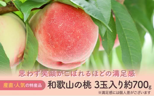 
            【産直・人気の特産品】和歌山の桃 3玉入り 約700g  ★2025年6月下旬から8月中旬頃順次発送★【TM93】
          