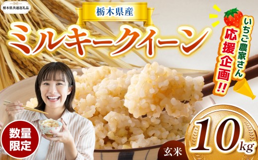 【栃木県共通返礼品】【先行予約】【定期2回】  訳あり 数量 限定 定期便 令和8年度産 ミルキークイーン 約 10kg | とちぎの星 ミルキークイーン お米 kome okome ご飯 米 玄米 白米 ごはん おいしい ふるさと納税 那珂川町 栃木県 送料無料