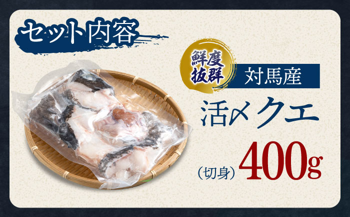 使い道いろいろ！ 活〆 クエ （ アラ ） 切身 《 対馬市 》 【 対馬逸品屋 】 海鮮 高級 鍋 おもてなし [WAF009]