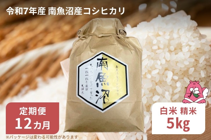 
            令和7年産 12か月定期便【白米5㎏/12回】越後湯沢産 南魚沼産 コシヒカリ 豪雪を源とする水の恵み【湯沢産 コシヒカリ】
          