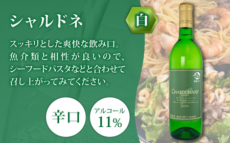 能登ワイン 白 ２本セット 甘辛 飲み比べ | ワイン