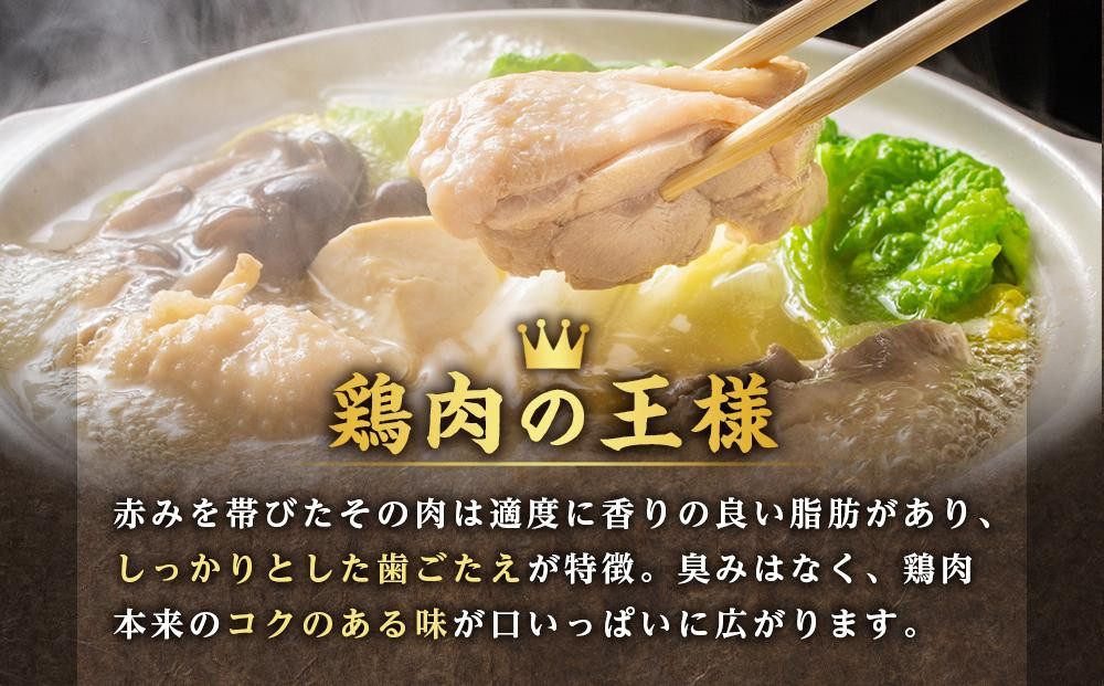 純系名古屋コーチン　豪華生肉セット