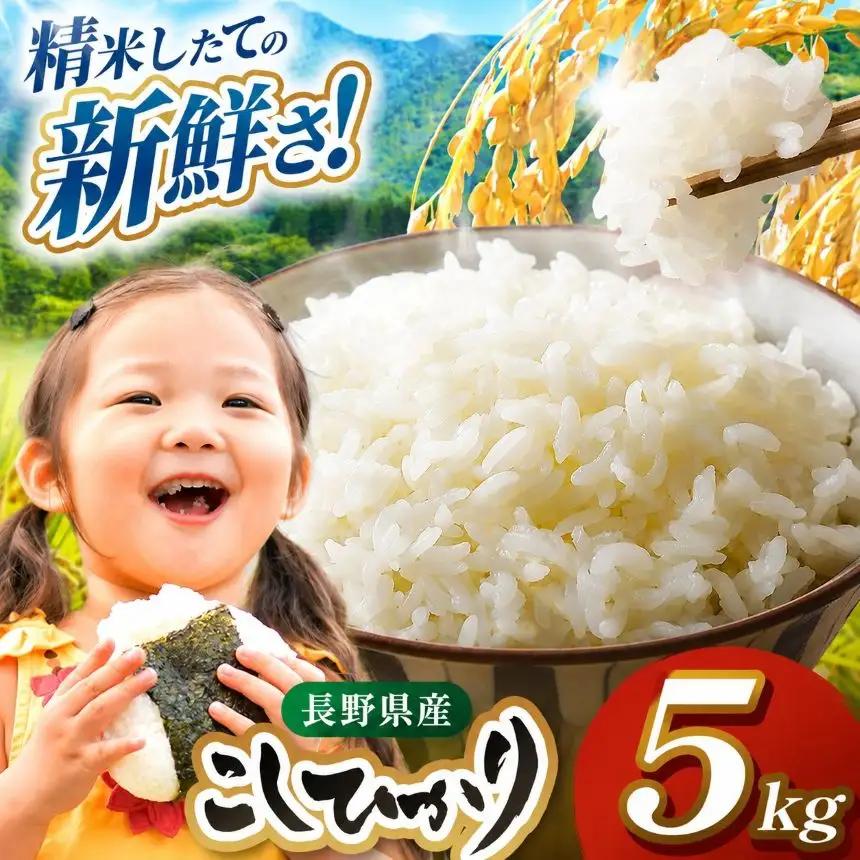 米 5kg コシヒカリ 令和7年産 JA上伊那 コシヒカリ 今ずり米 5kg 1袋【017-24】