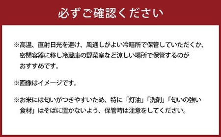 【令和7年産】にこまる20kg（5kg×4）お米 白米 熊本県 湯前町