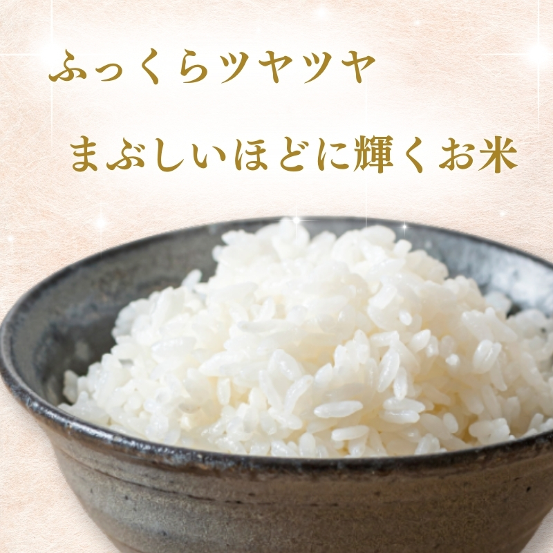 【7月中旬配送】上越市産 新潟 新之助 5kg しんのすけ お米 精米 米 ご飯