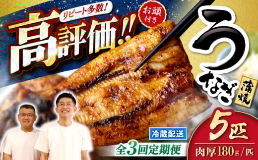 【月1回5匹×3回定期便】秘伝のタレで仕上げた国産うなぎの蒲焼［CCA011］＜入口屋＞