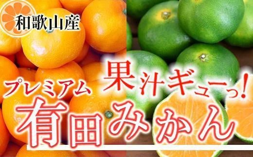 
                  プレミアム 有田みかん2.5kg+250g（傷み補償分）［2025年10月上旬から2026年1月下旬頃順次発送予定］［IKE251］
                