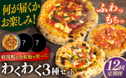 【全12回定期便】【合鴨家族の小麦使用】ピザ わくわく3枚セット(マルゲリータ・お任せ2枚）▼ピザ 冷凍 ピザ窯 ぴざ PIZZA パーティー ピッツァ 人気 本格 石窯 クリスマス　 桂川町/PIZZERIA TUTTI [ADBH020]