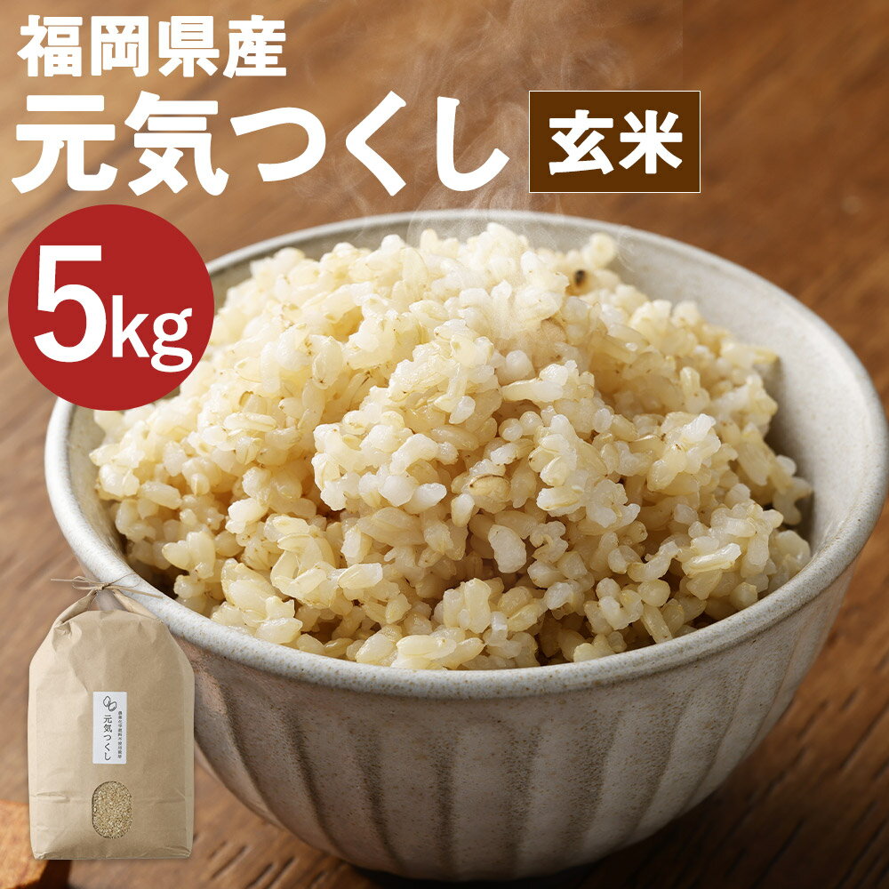 【ふるさと納税】福岡県産 元気つくし 玄米 5kg お米 九州産 栽培期間中肥料・農薬・除草剤不使用 送料無料【2025年11月上旬より順次発送予定】