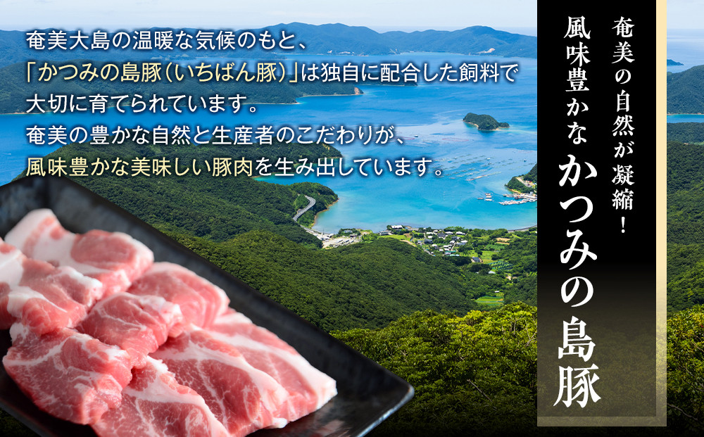 かつみの島豚いちばん焼肉バラエティセット750g(250g×3パック）加計呂麻の塩付き