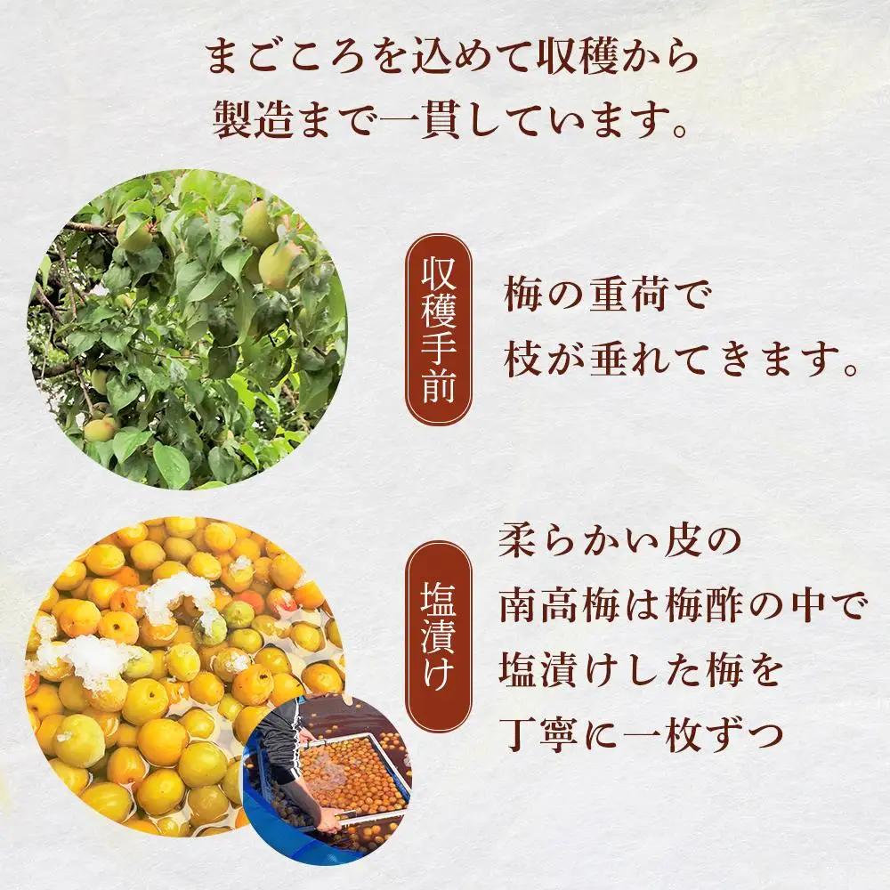 極上 紀州南高梅 はちみつ 梅干し 3L サイズ以上 合計 1kg ( 1kg × 1パック ) 塩分約8％ 化粧箱入り