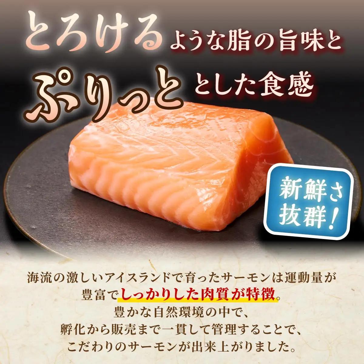 【TOWA SALMON】 アトランティック サーモン 1.6kg 鮭 サーモン さけ シャケ しゃけ sake カルパッチョ ソテー レアステーキ 人気 高級 大満足 美味しい 贈答 生食用 刺身 