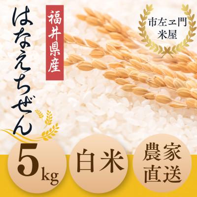 ふるさと納税 小浜市 令和7年産新米　福井県産ハナエチゼン5kg 白米