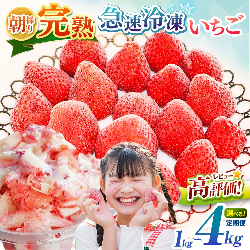 【ふるさと納税】 定期便 始めました！ 急速冷凍 完熟いちご 選べる 数量 回数 内容量 1~4kg 国産 | 冷凍便 果物 フルーツ くだもの いちご イチゴ 苺 冷凍 いちご 1kg 2kg 3kg 4kg 1回 3回 6回 イチオシ 千葉 君津 きみつ 6500円 1万3千円