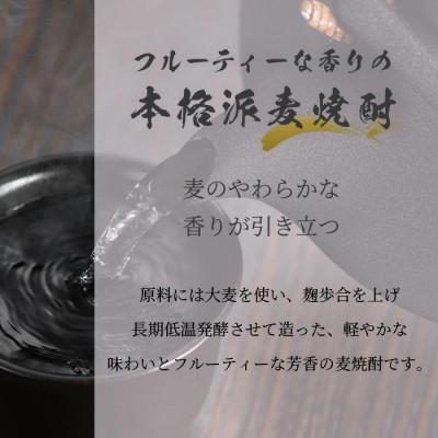 ふるさと納税 鹿島市 麦焼酎 舞ここち 900ml  ホークスラベル |  | 02