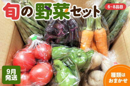野菜セット 「産直メロス」【2025年9月発送】 旬の野菜詰め合わせ 野菜 詰合せ セット詰め合わせ 国産 旬 おまかせ お楽しみ 直送 詰合 青森 五所川原 6～8品