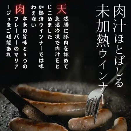 高原育ちのフレッシュウインナー5種詰合せ【配送不可地域：離島】【1660327】