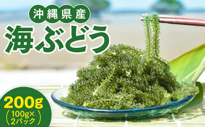 沖縄県産　海ぶどう　100g× 2 パック（ご自宅用）|海ぶどう 新鮮 お取り寄せ グリーンキャビア 沖縄県 南城市 有限会社板馬養殖センター