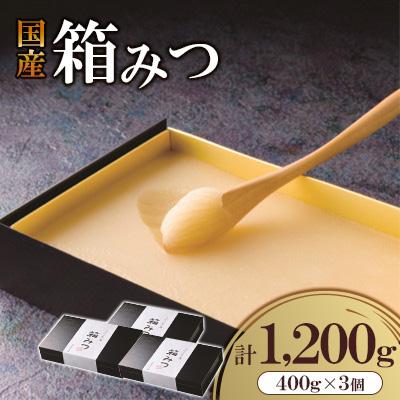 ふるさと納税 広川町 【先行予約2025年12月より発送】国産　箱みつ　1200g(400g×3個)(広川町)