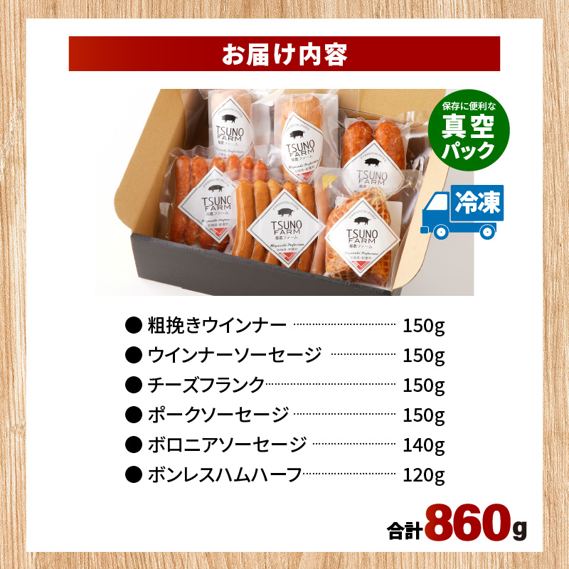 都農ファーム厳選「ウインナー・ハム6点セット」合計860g_T020-0017【肉 豚 豚肉 おかず 国産 人気 ギフト 食品 お肉 加工品 惣菜 お土産 贈り物 送料無料 プレゼント】